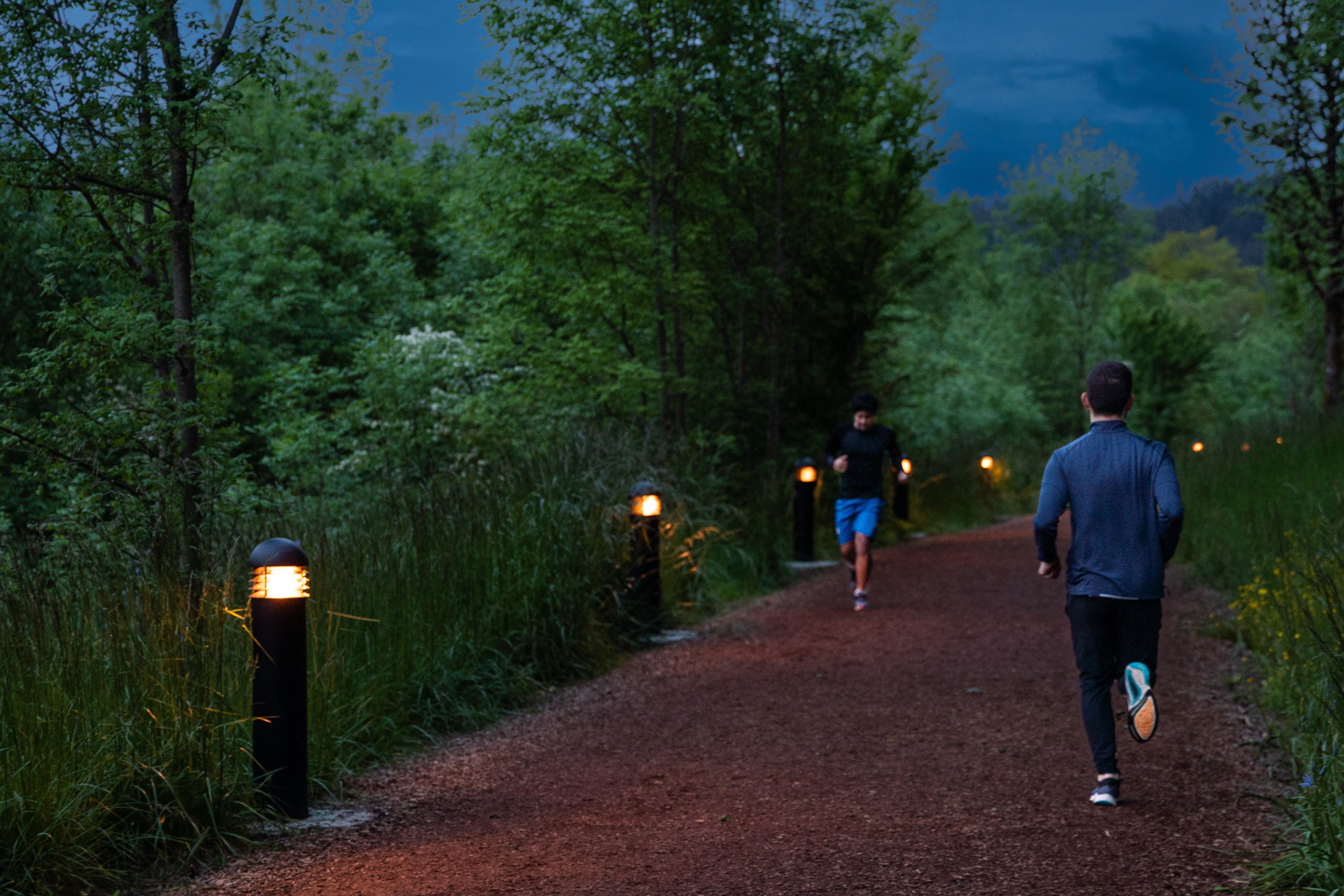 Trail and park landscape at Amazon Park in Eugene