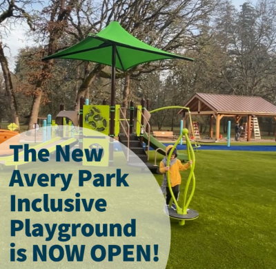 Avery Park Inclusive Playground