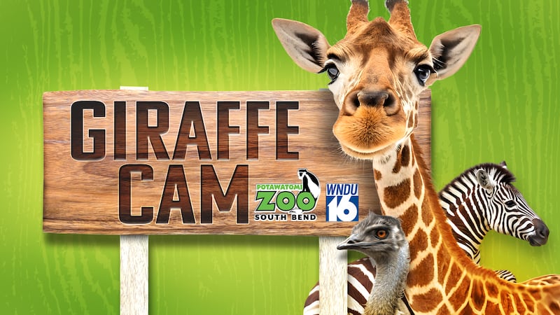 Battell Park Accessible Playground