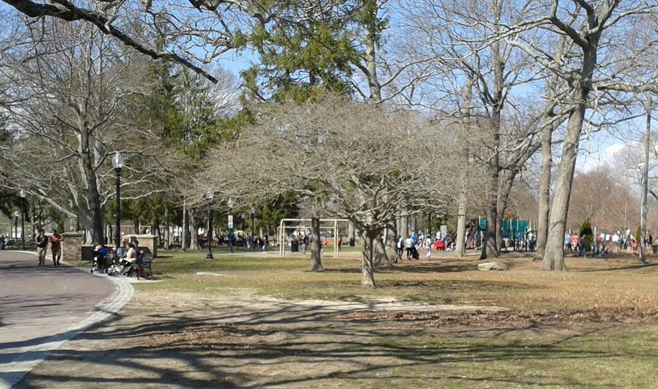 Playground visible within Buttonwood Park