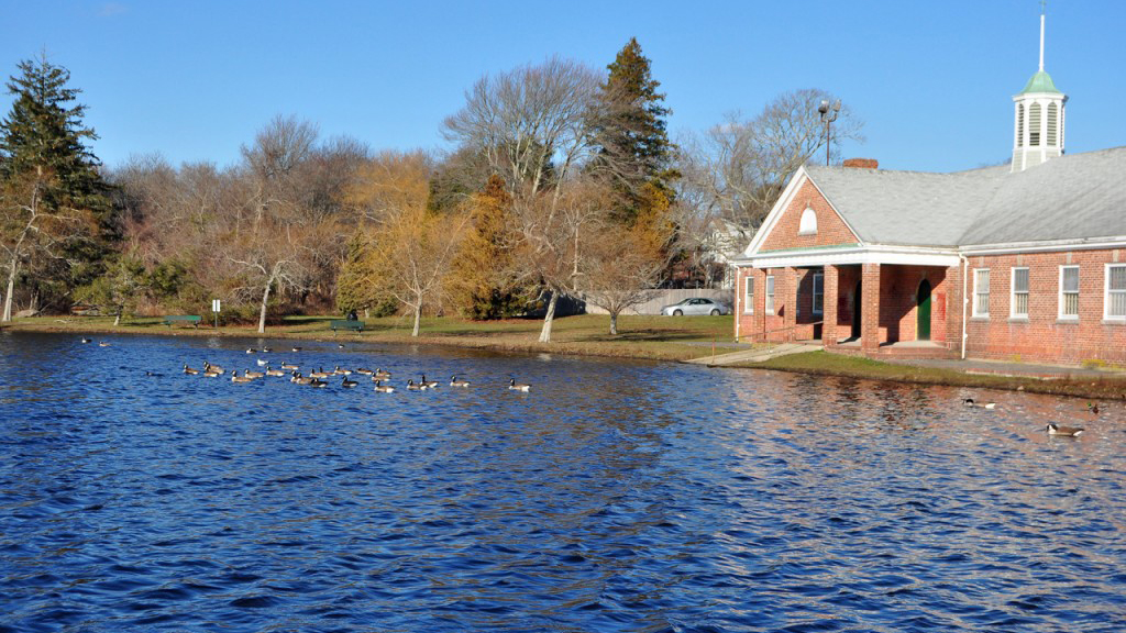 Buttonwood Pond near the playground and zoo area