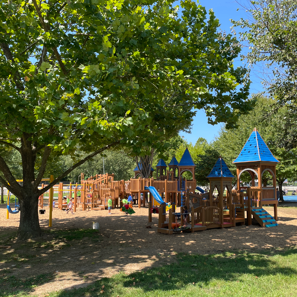 Toddler-focused play section at Carrier Park Playground