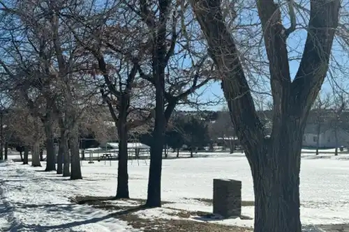 Circle Park official photo