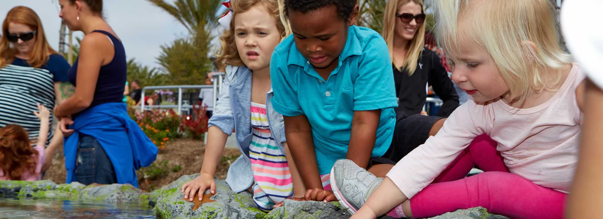 Courtney's SandCastle Universally Accessible Playground