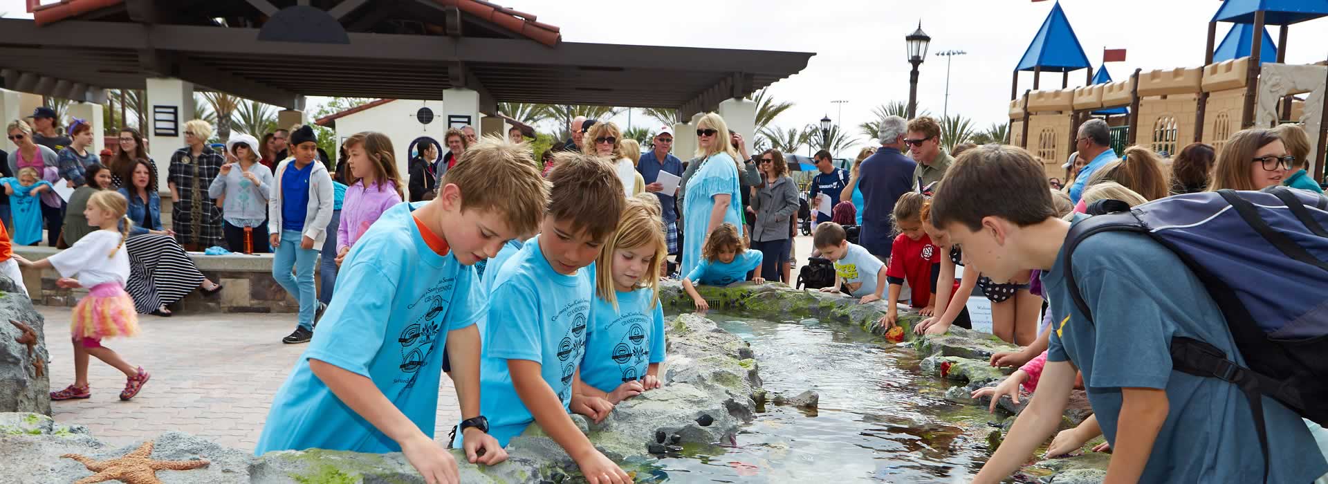 Raised interactive tide pool play feature at Courtney's SandCastle