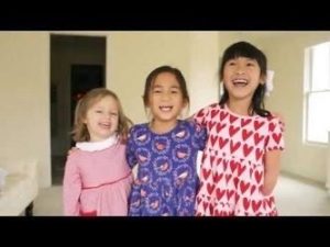 Cove Universal Playground