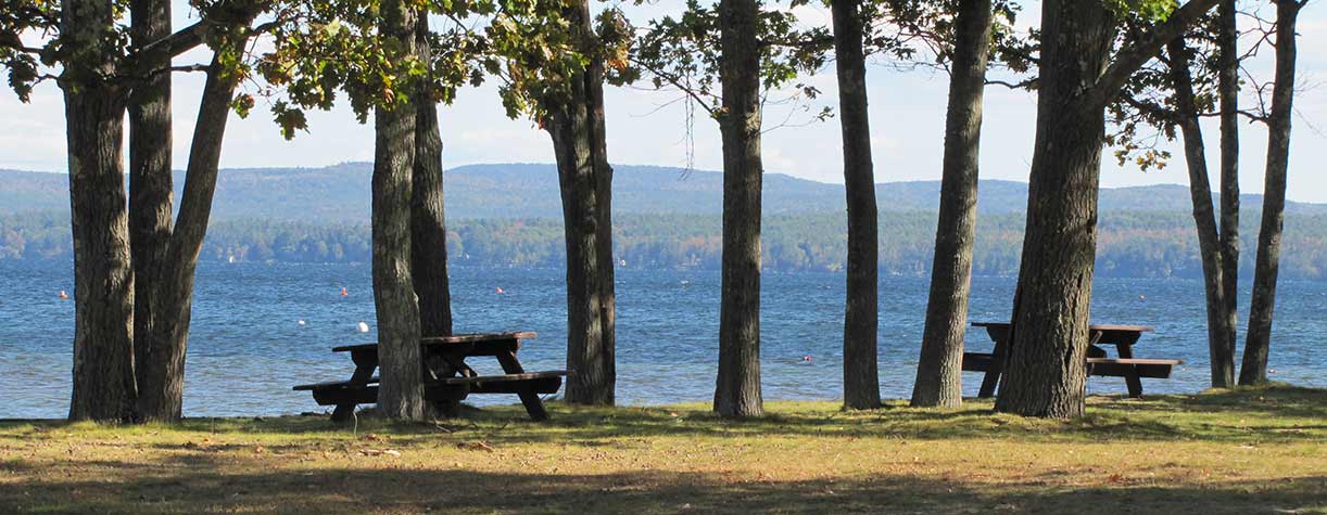 Tree-lined park area at Ellacoya State Park