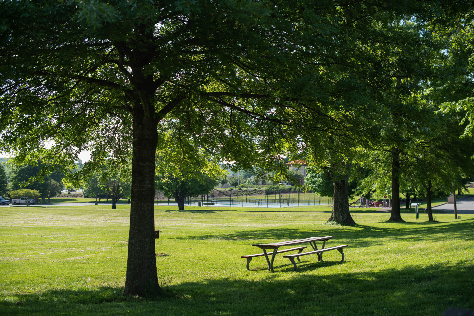 Additional Fallon Park view