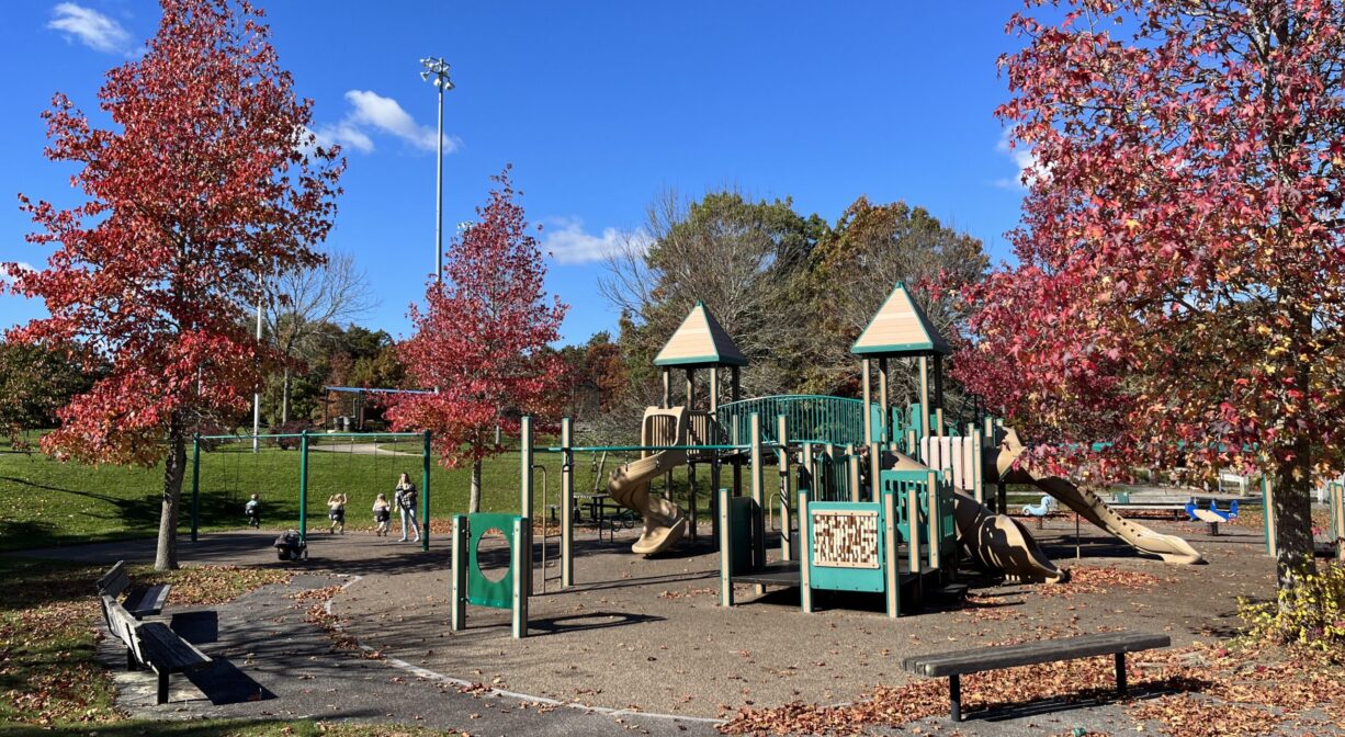 Large tan and green play equipment at Forges Field