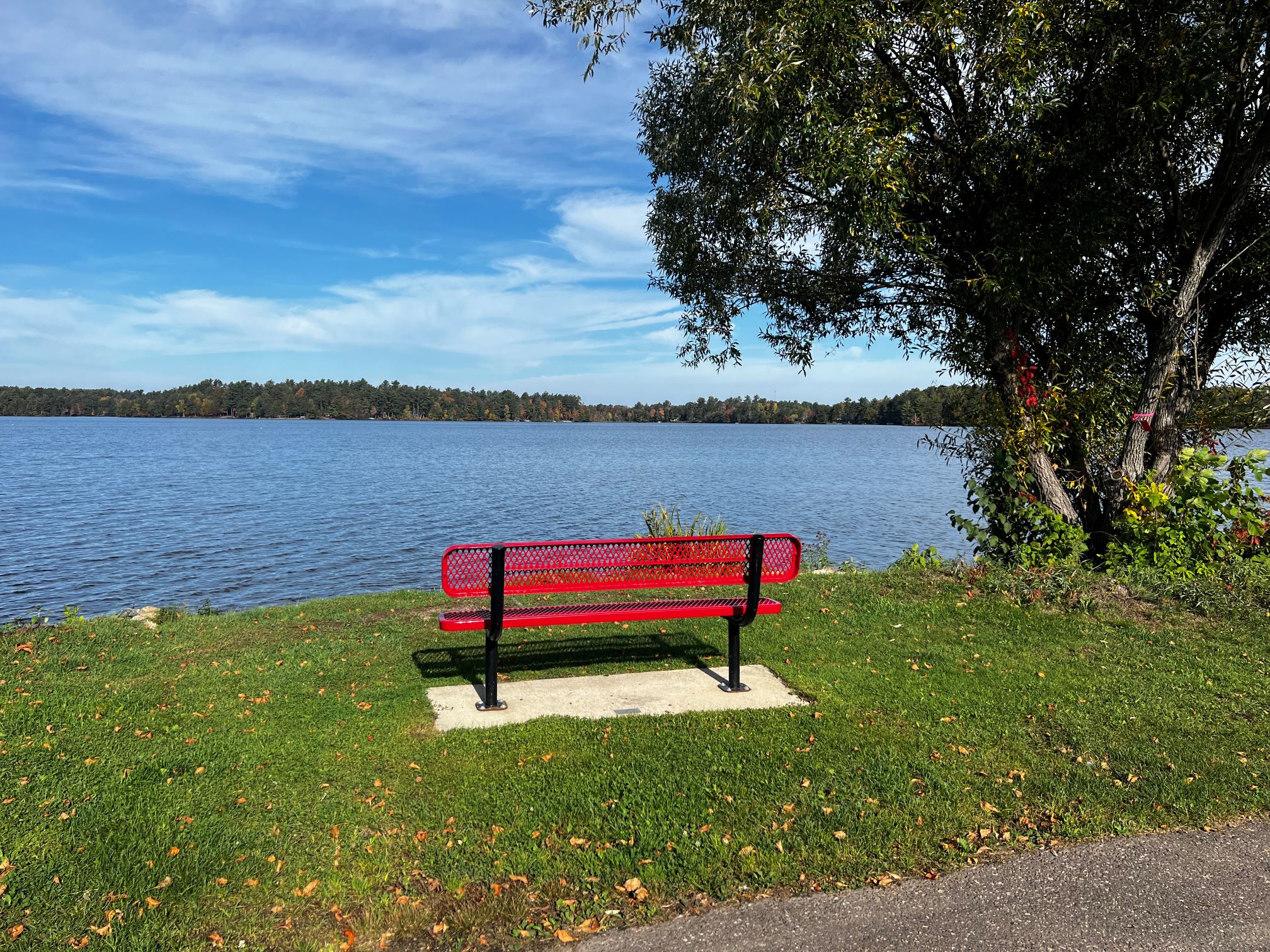 Bench overlooking the water at Hodag Park