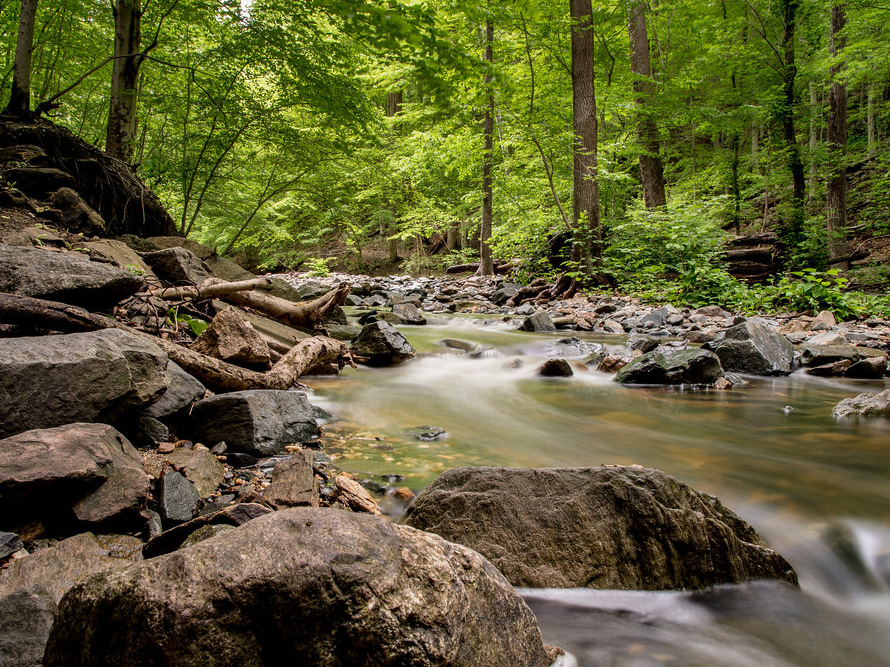 Scenic river setting at Patapsco Valley State Park