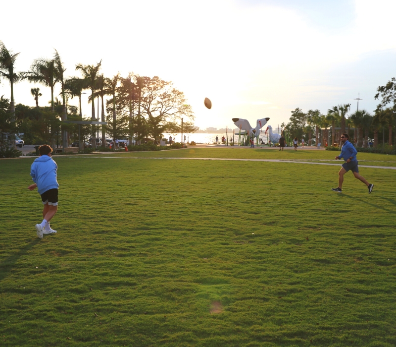 Open lawn at The Bay Sarasota