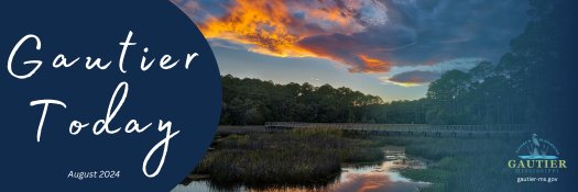 Banner image for Gautier's inclusion playground announcement