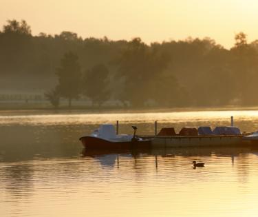 Park view at Jacobson Park in Lexington