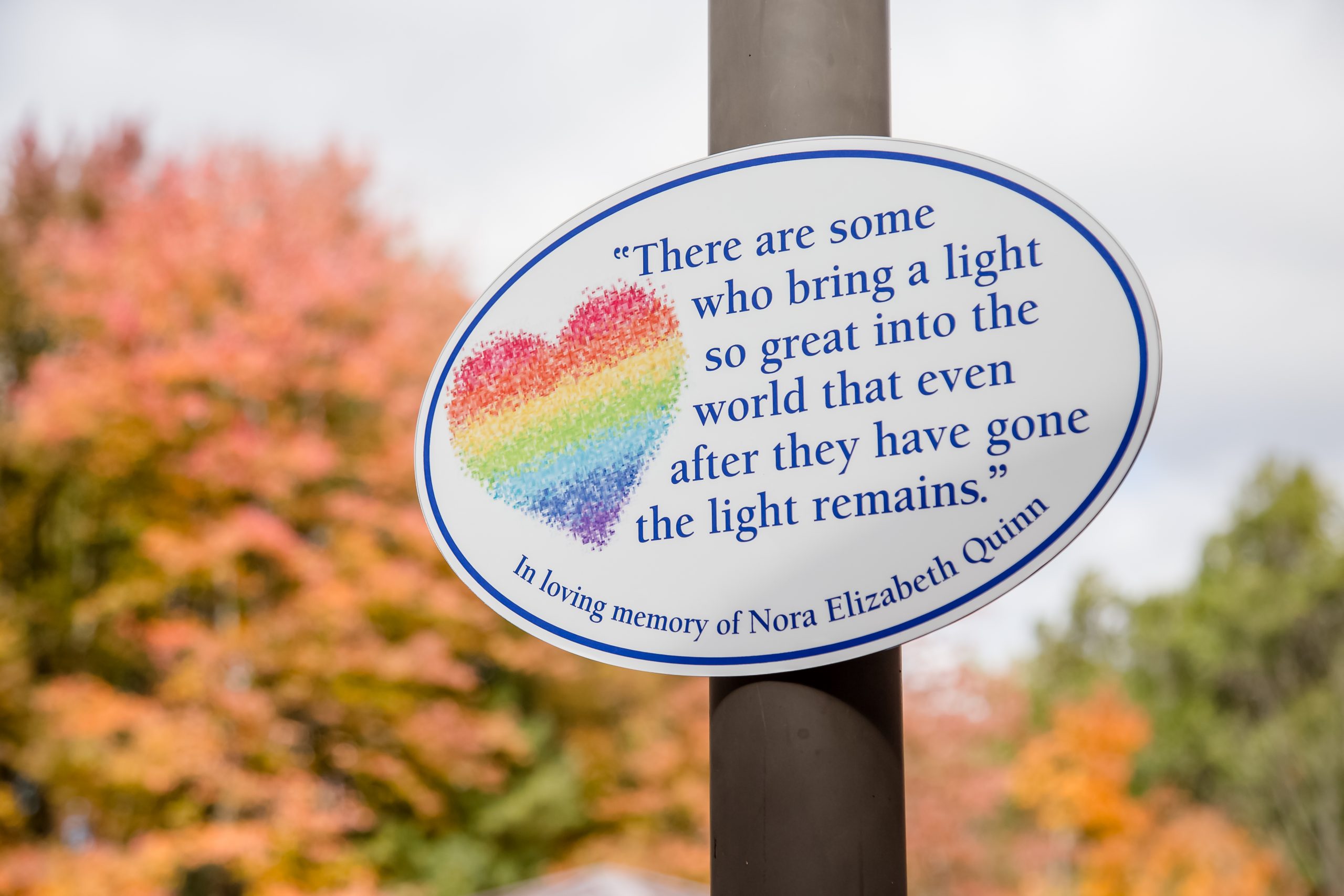 Accessible play area at Jonathan's Dream