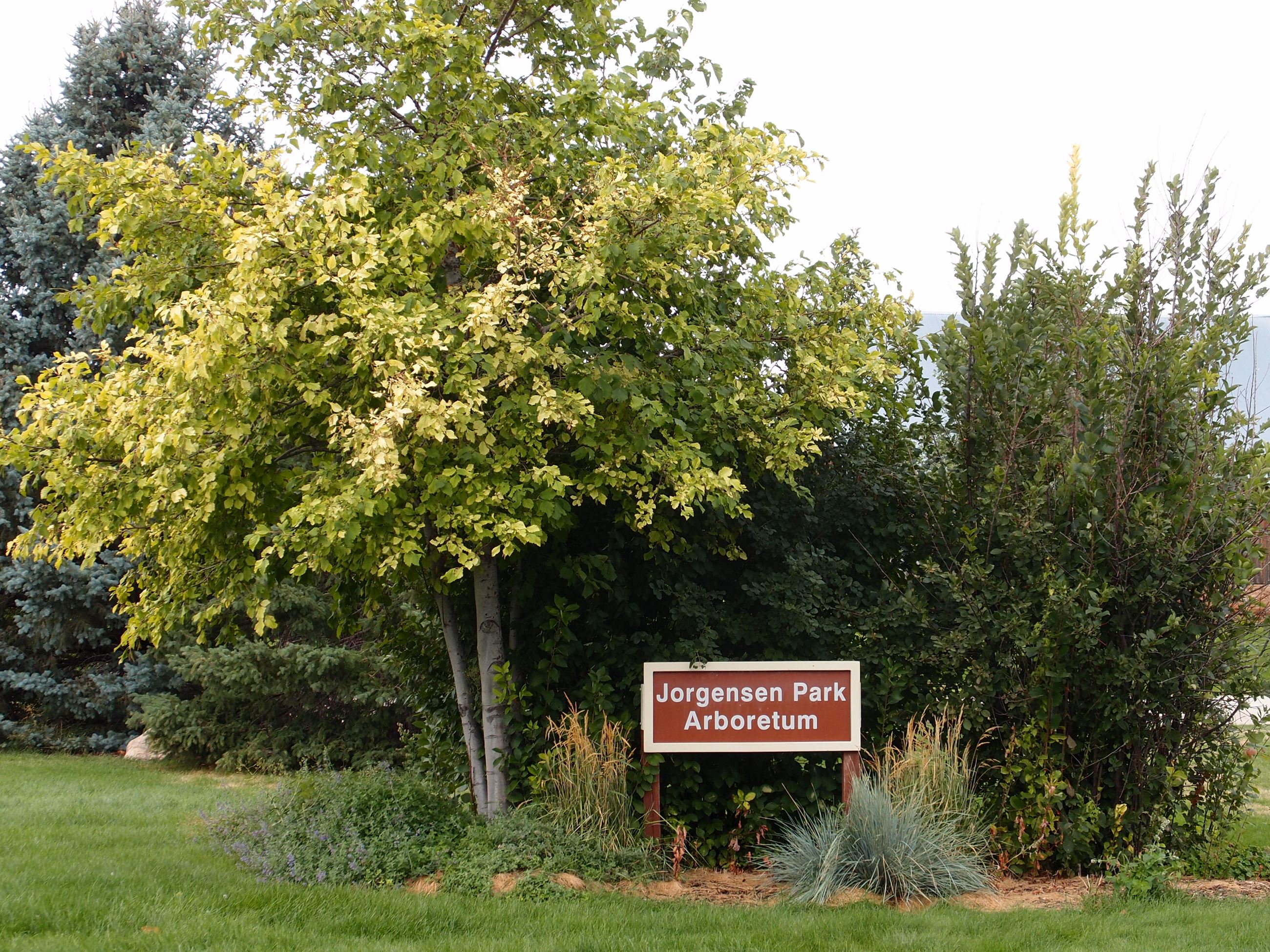 Jorgensen Park inclusive playground in Spearfish