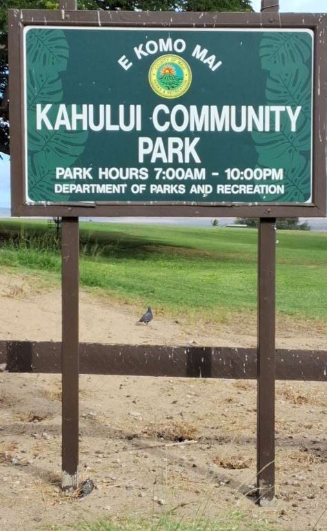 Kahului Community Park Playground