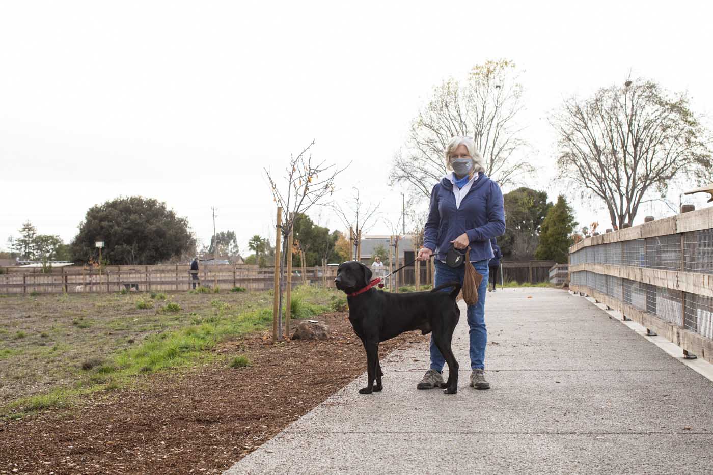 Inclusive playground and surrounding park space at Chanticleer County Park