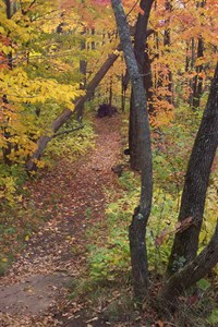 Paved trail through Lincoln Park in Duluth