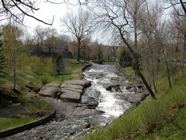 Miller Creek area in Lincoln Park