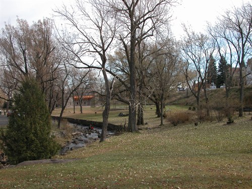 Open lawn area at Lincoln Park