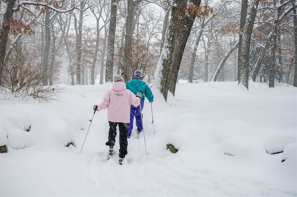 Milham Park landscape in Kalamazoo