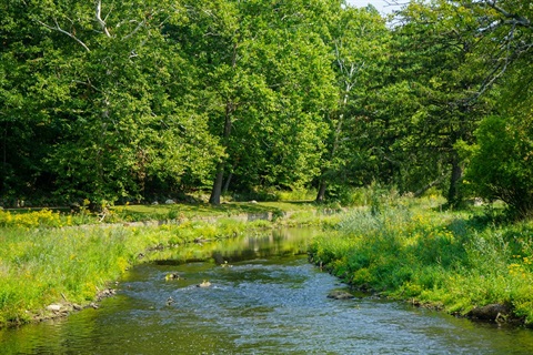Portage Creek area at Milham Park