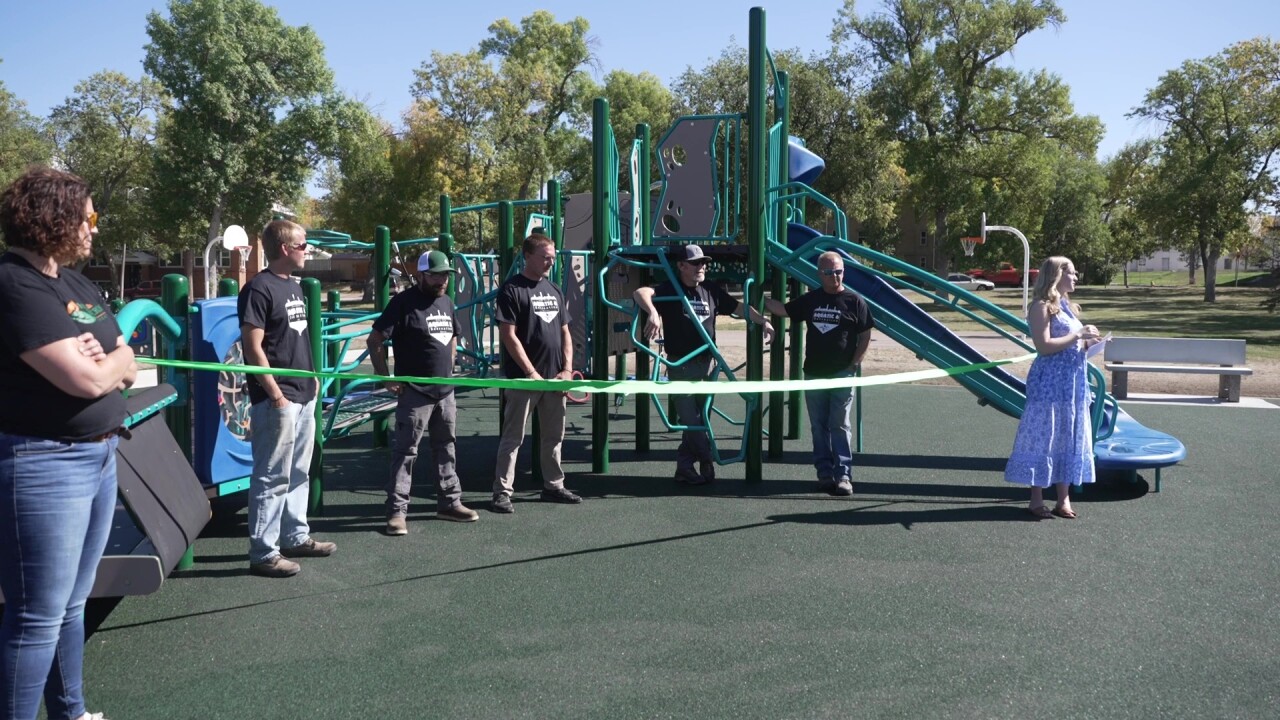 Morony Park Inclusive Playground
