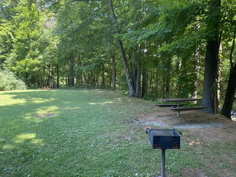 Picnic table and grill near the playground