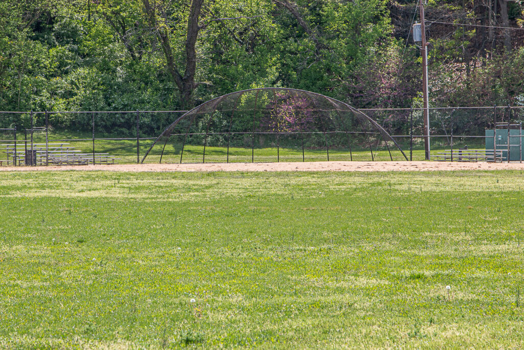 Additional Norwich Park view