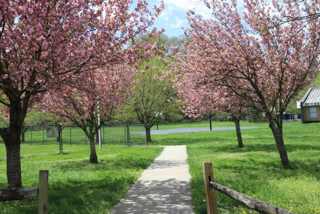 Norwich Park play area