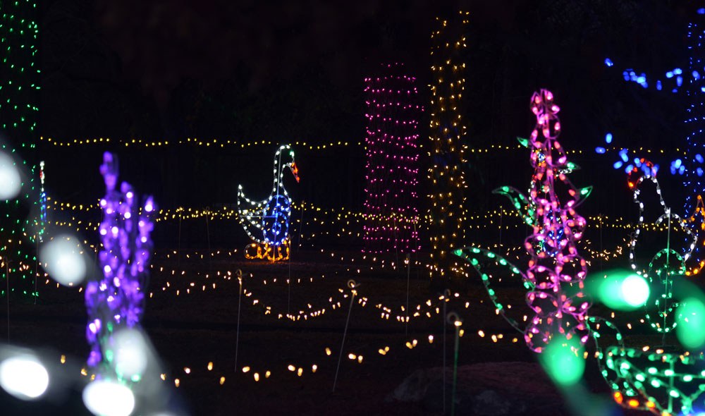 Children's play area inside the fenced playground