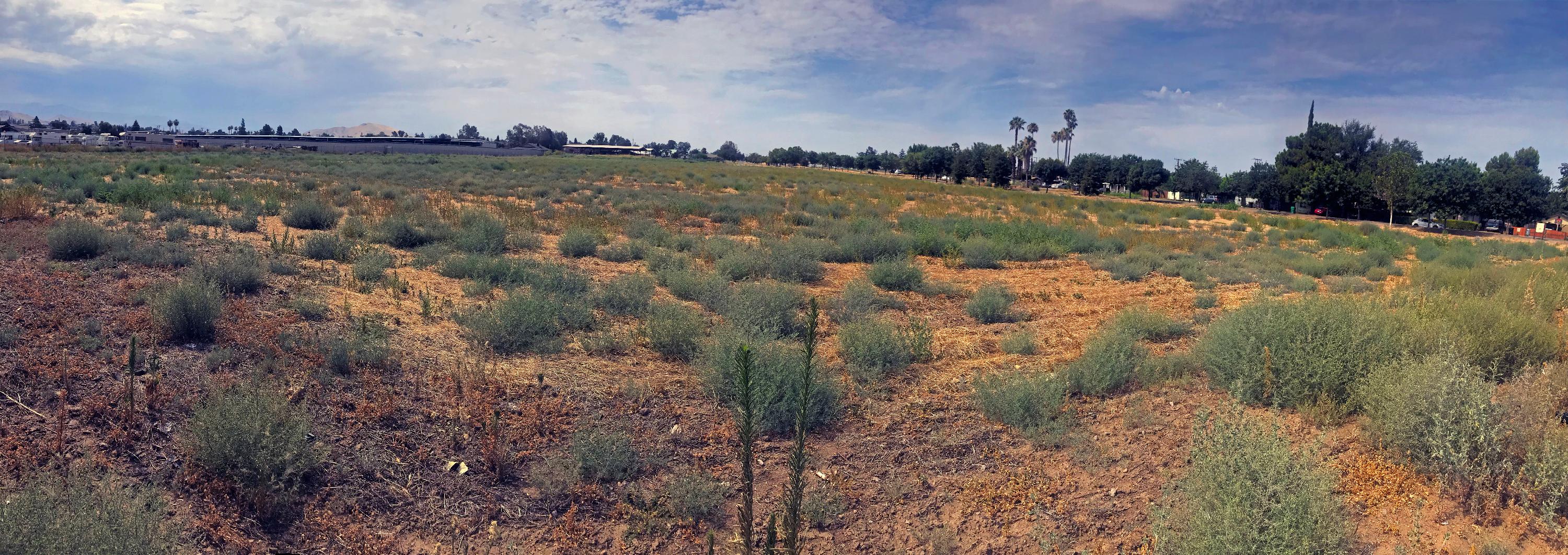 Panoramic view of Overland Park project site from Henderson Avenue