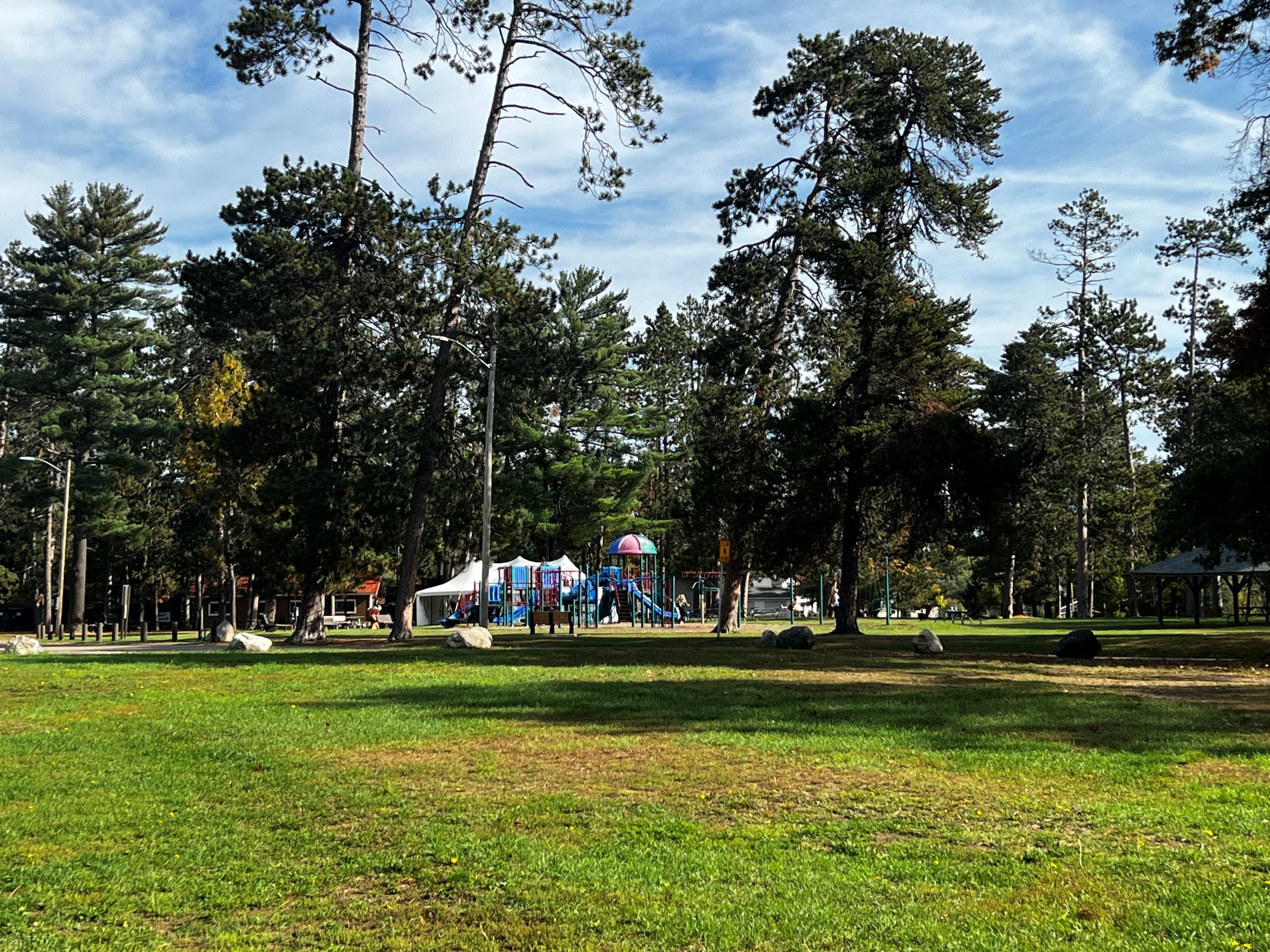 Playground area at Pioneer Park under mature trees