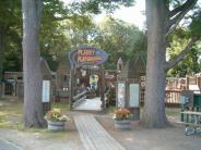 Play features at Planet Playground in Exeter