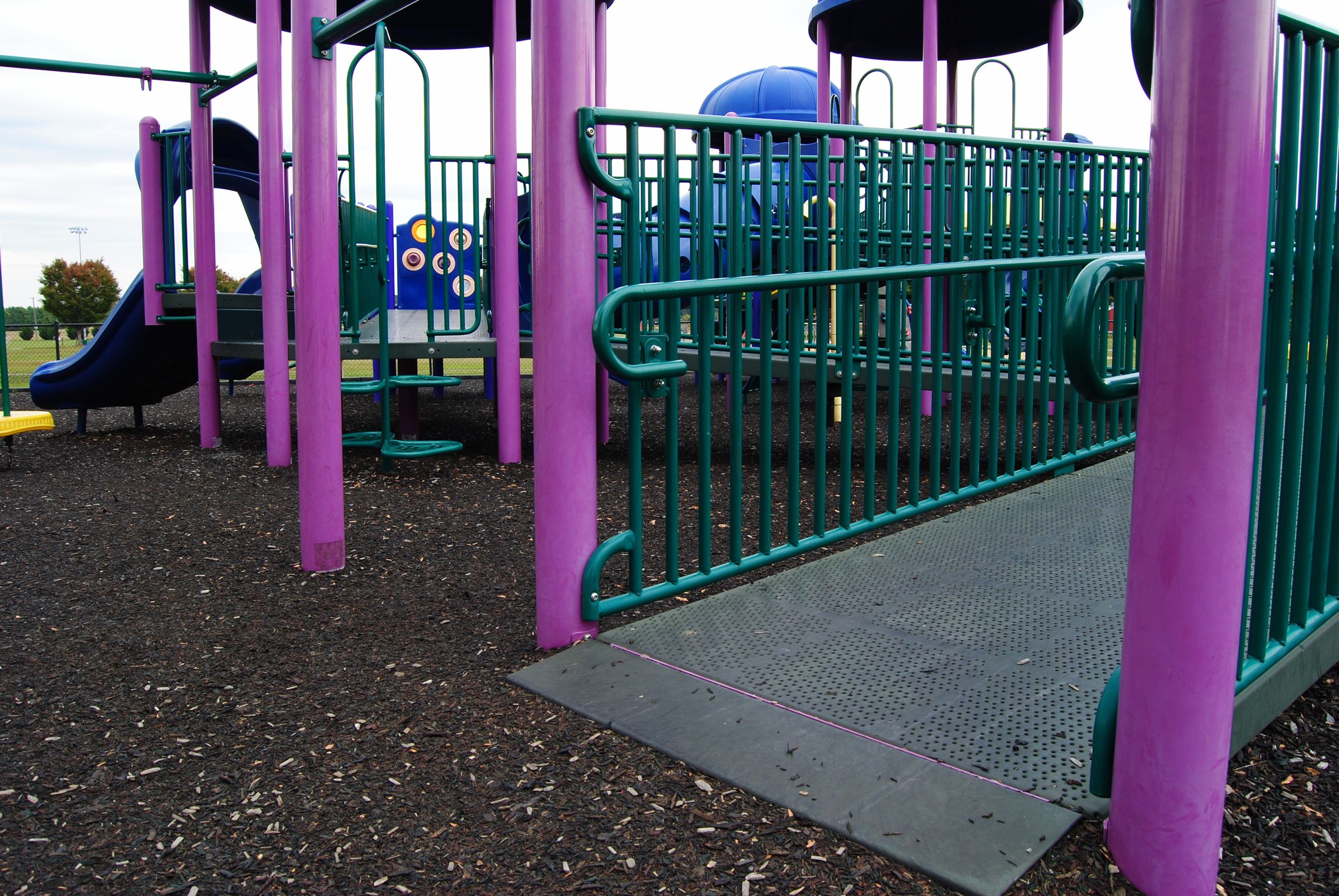 Pole Green Park Inclusive Playground