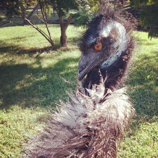 Riverside Park Playground