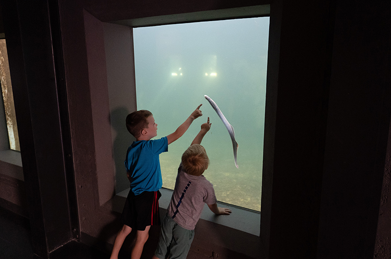 Rocky Reach Discovery Center family space