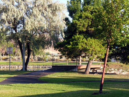 Ross Gold Park grounds near the playground
