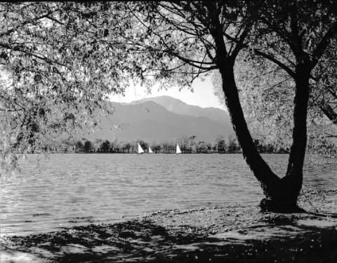 Memorial Park and Prospect Lake near Swing High Playground