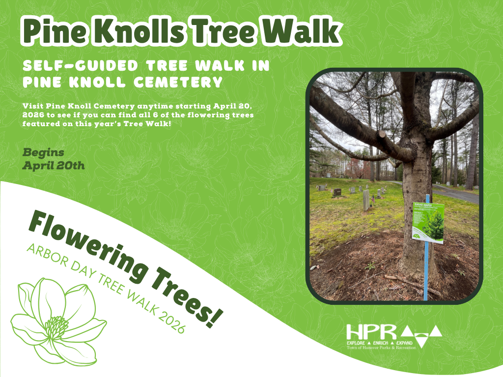 Tenney Park Playground