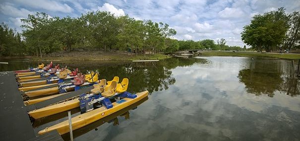 Amelia Earhart Park landscape
