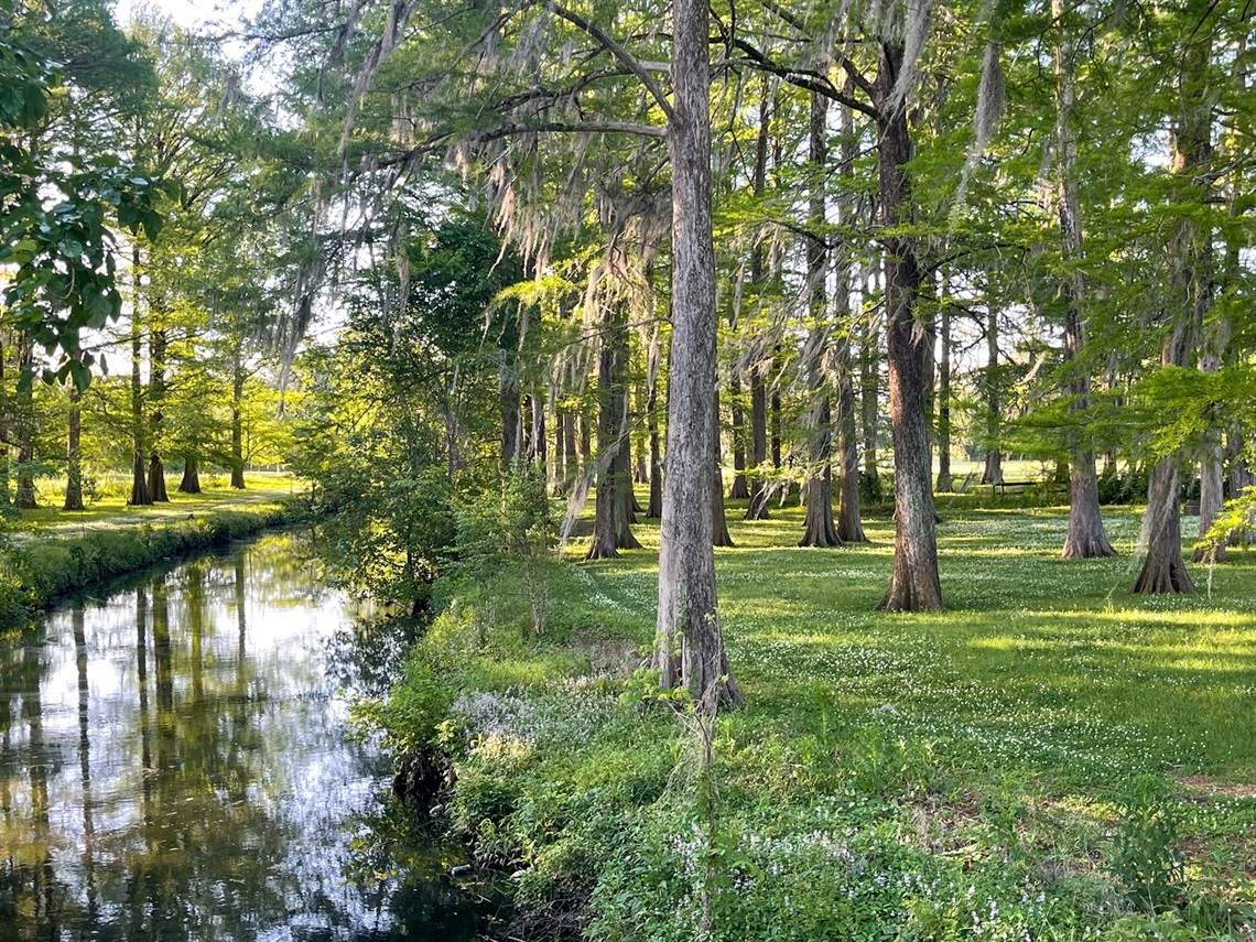 Creek and green landscape at Wallace Park