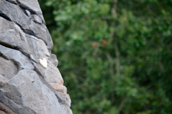Children's climbing boulders at Woodland Discovery Playground