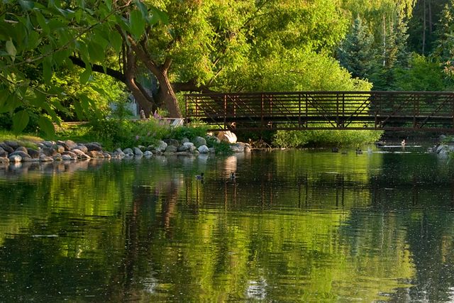 Bridge area at Woodland Park