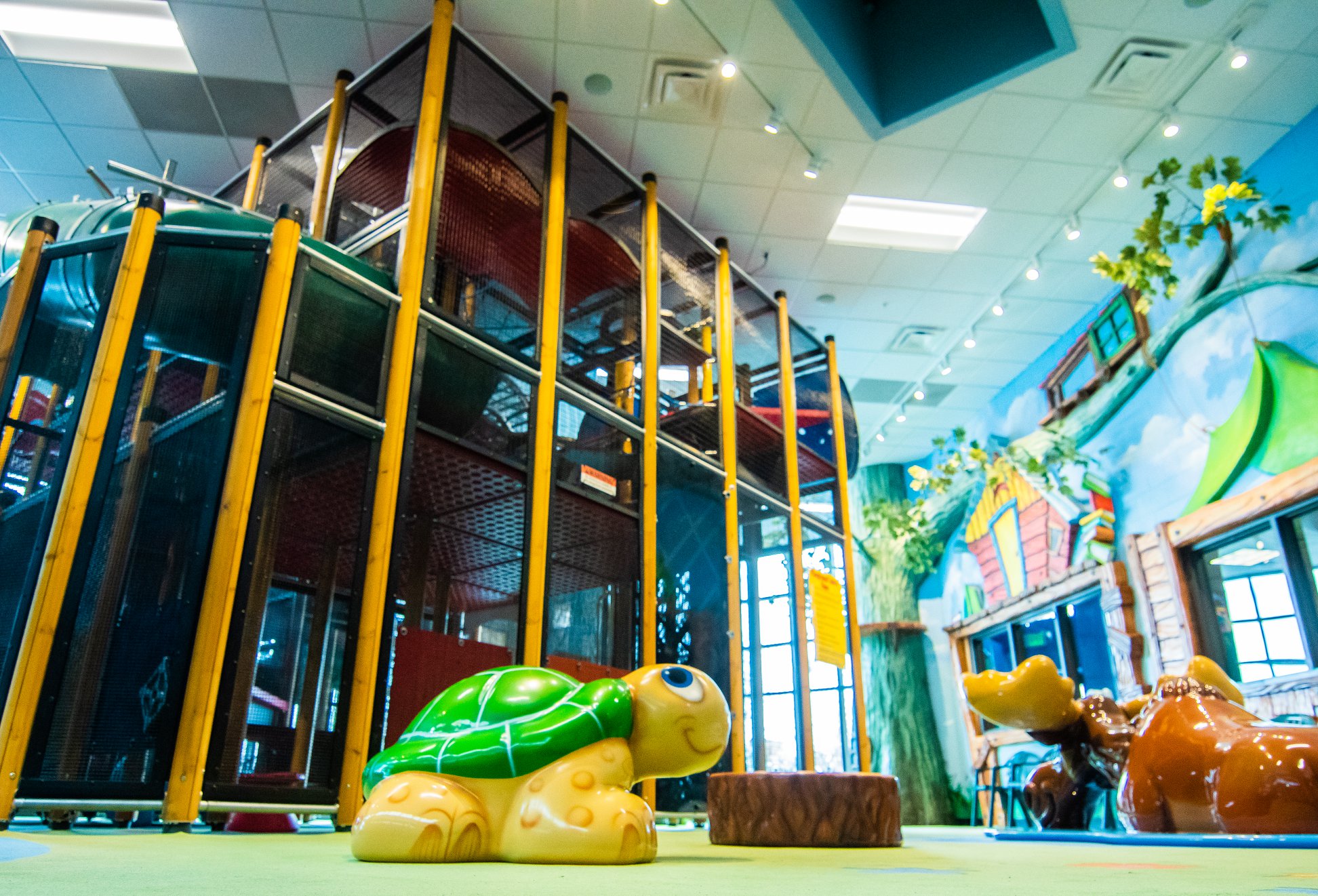 Apex Center indoor playground structure