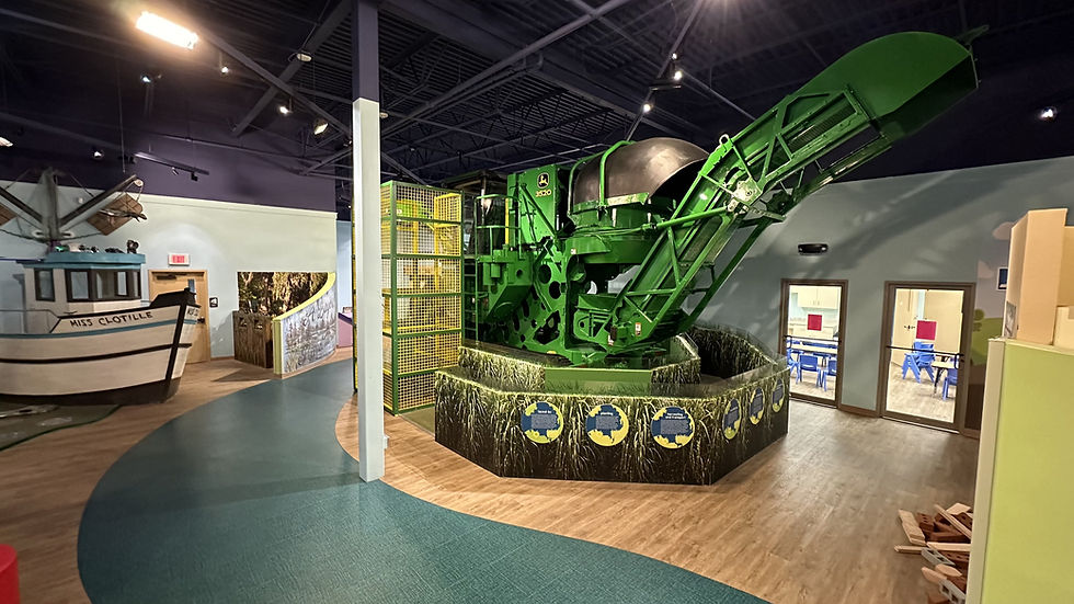 Bayou Country Children's Museum