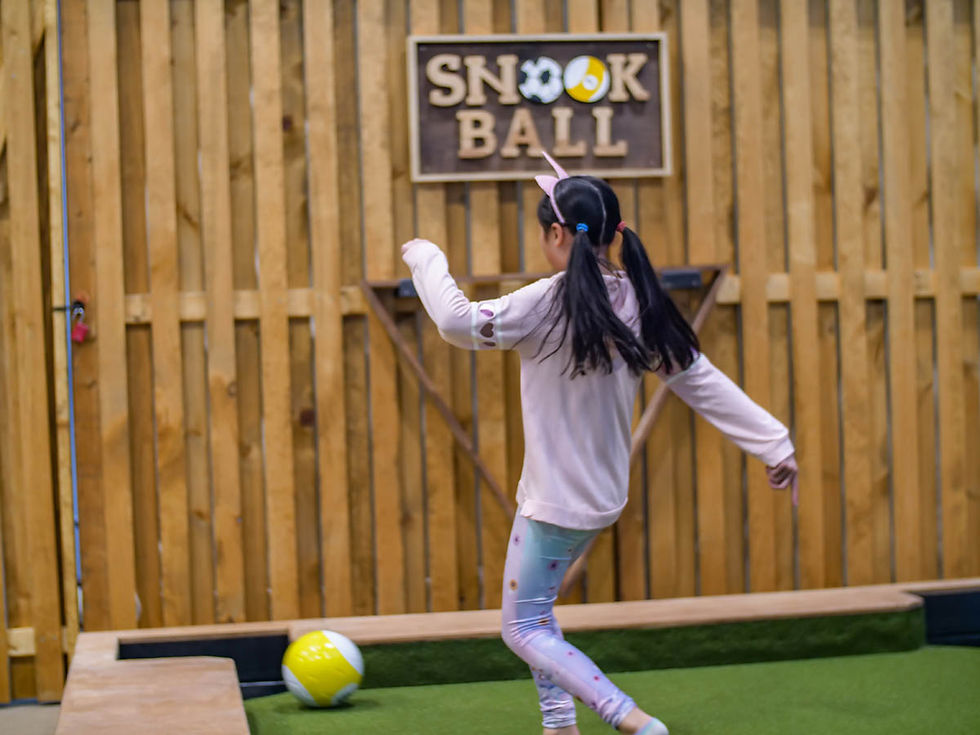 Snookball play feature inside Boston Playground.