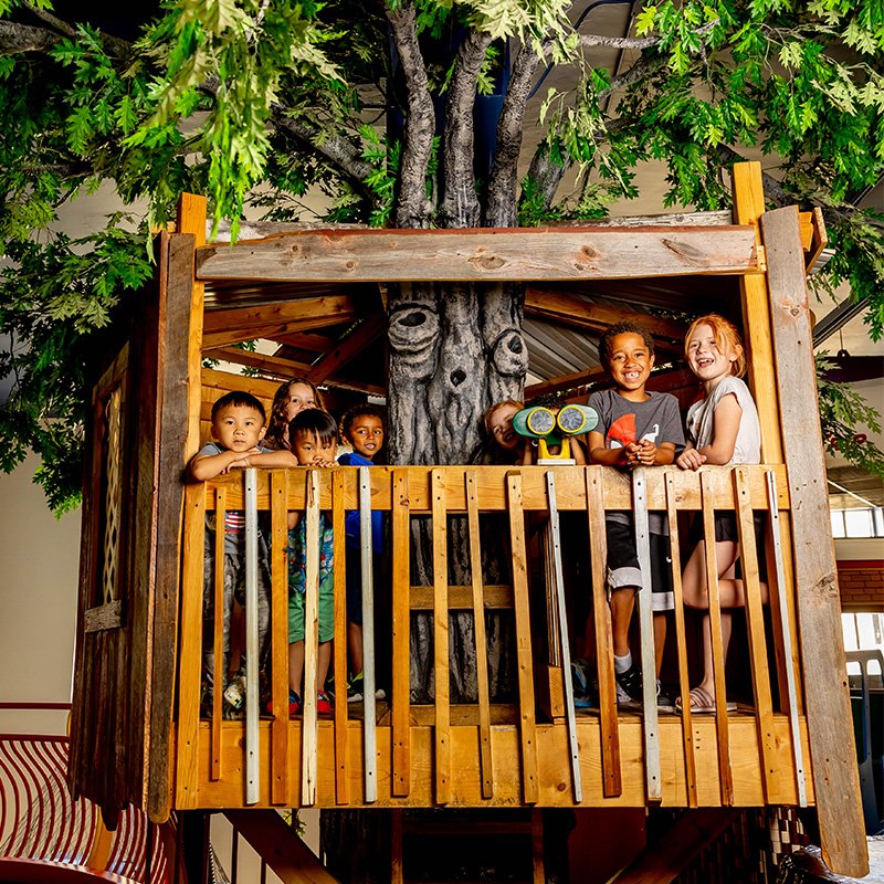 Children exploring the indoor treehouse exhibit at the Children's Museum of La Crosse.