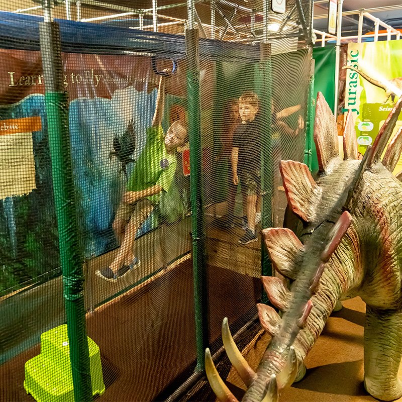 Children navigating the Dino Maze exhibit at the Children's Museum of La Crosse.